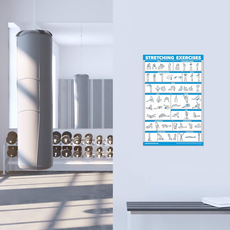 Palace Learning QuickFit Bodyweight Workouts and Stretching Exercise Poster Set - Laminated 2 Chart Set - Body Weight Exercise Routine & Stretching Workouts (18" x 24") - Image 4